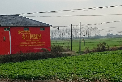 元谋如何防止墙体广告褪色呢？