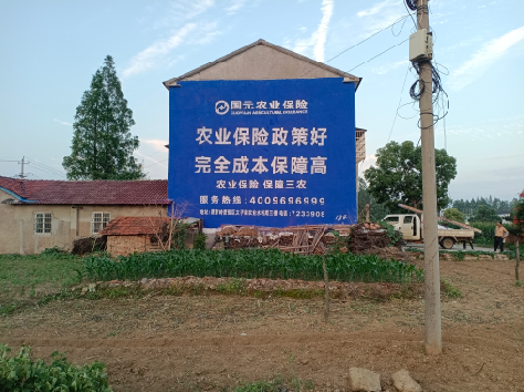 元谋墙体广告为何受追捧？